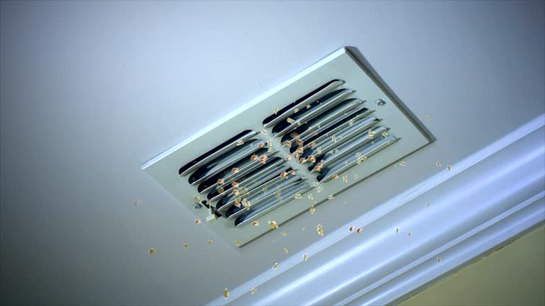 Reliable VA Airduct Cleaning Solutions