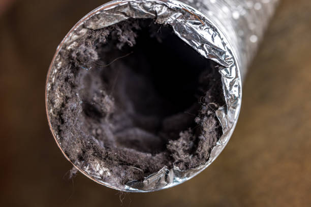 Best HVAC Air Duct Cleaning  in Danville, VA