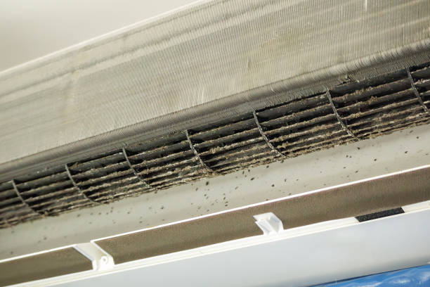 Best Ventilation Cleaning Services  in Danville, VA